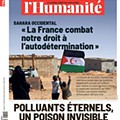 hum (1).jpg
